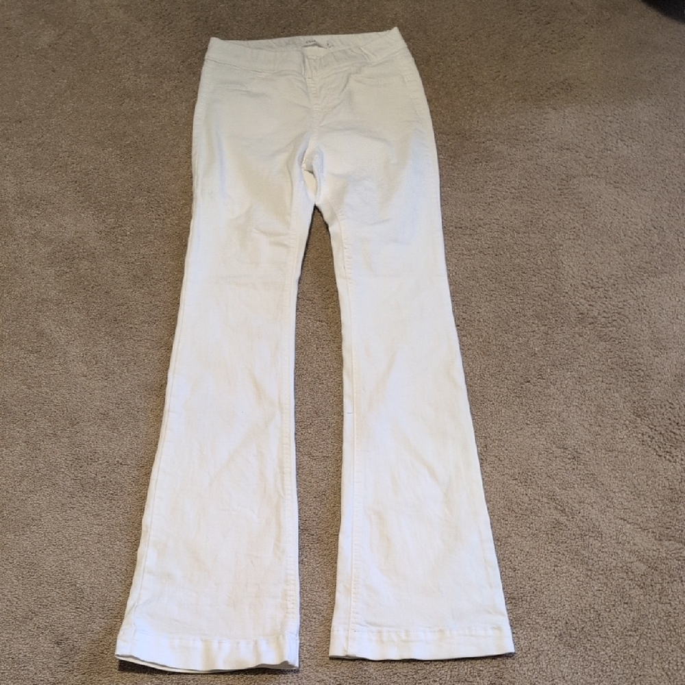 Cello Flared Pants